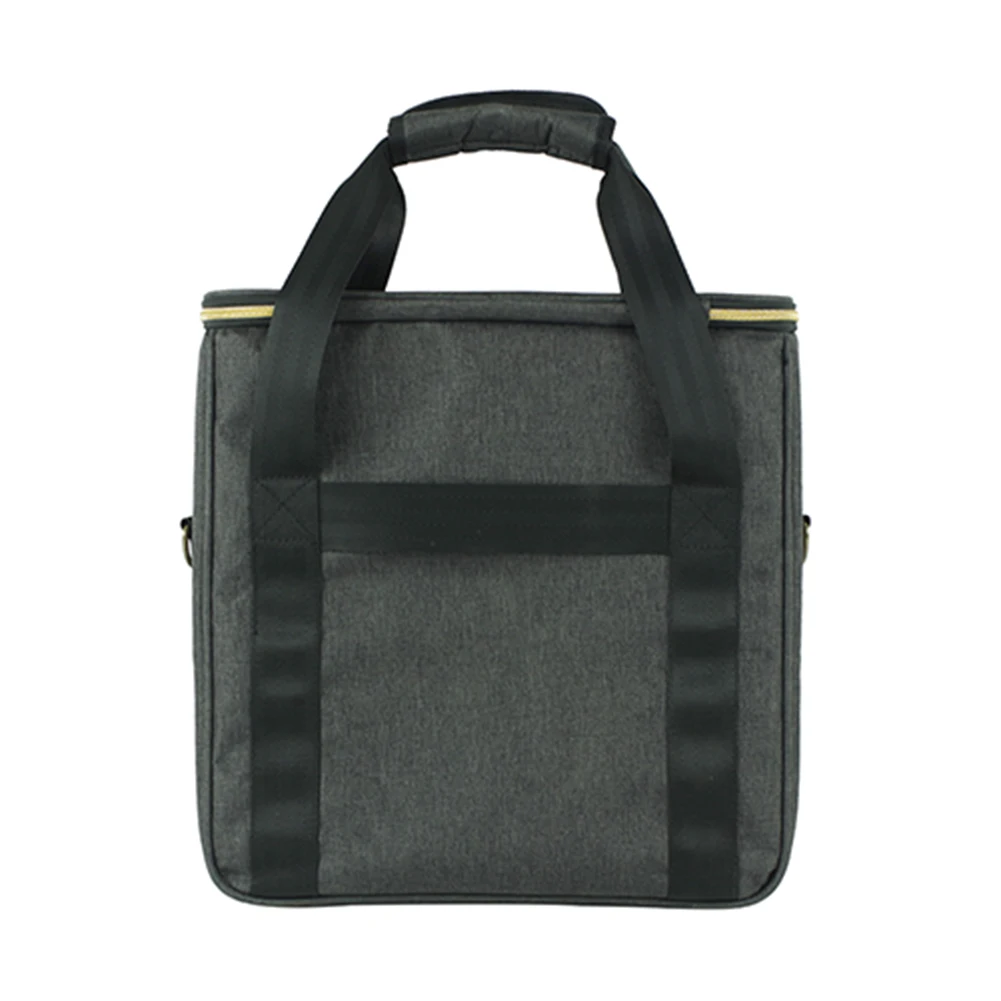 Vinyl Records Carrying Bag with Strap Portable Record Shoulder Bag Dust Prooof Thicken Padded CD Bag Holds Up To 10 Vinyl Albums
