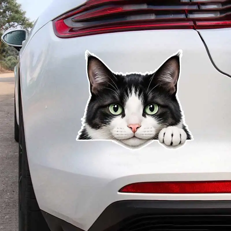 

Car Sticker Black And White Domestic Cat Vinyl Decal Waterproof Rear Window Motorcycle Camper Bumper Laptop Decoration SH1628