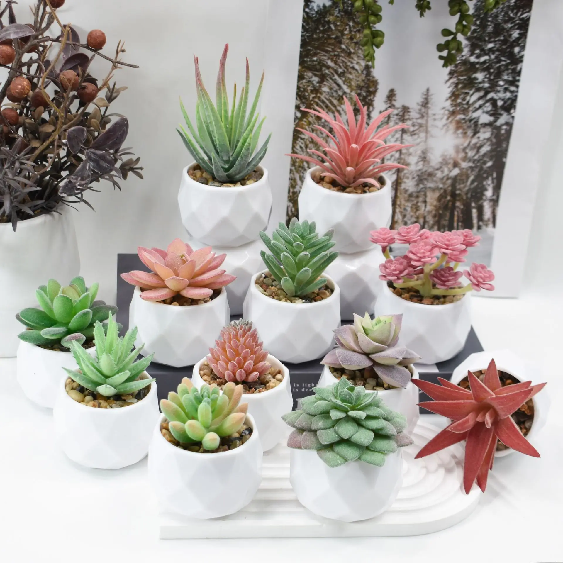 Artificial Succulent Plants Potted Assorted Decorative Faux Succulent Potted Fake Cactus Cacti Plants with Pots Decoration