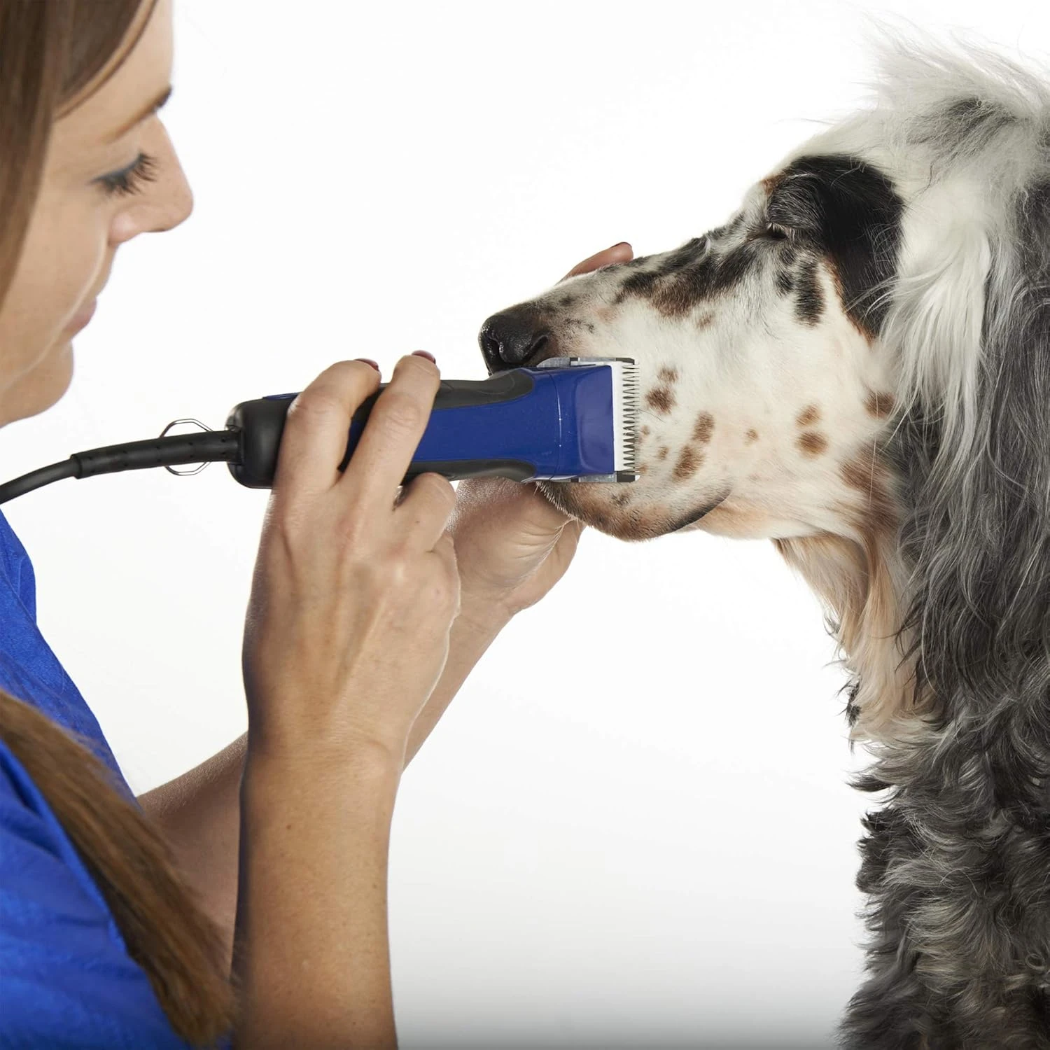 Professional Pet Dog Clipper Blade Fit Most Andis,Oster A5,wahl KM Animals Clippers Grooming Hair Trimmer