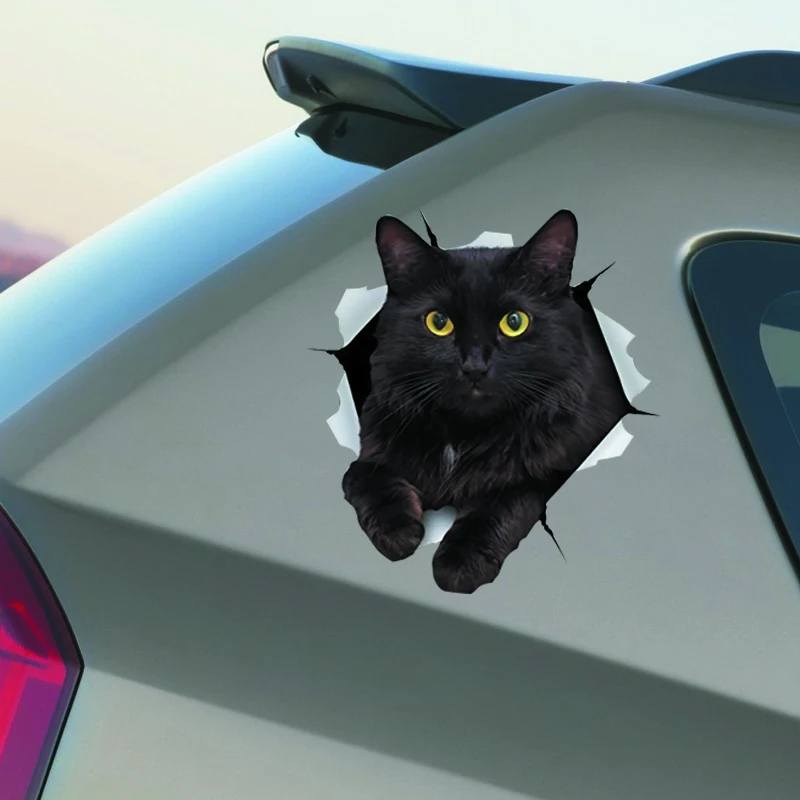 Car stickers make your car fun, very handsome, and can be customized for waterproof and sun protection