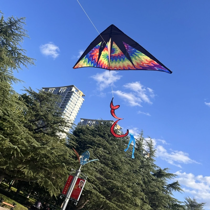 Free Shipping delta kites flying for kids kites factory windsurfing Eagle kite professional kite Power kite adult flying kites