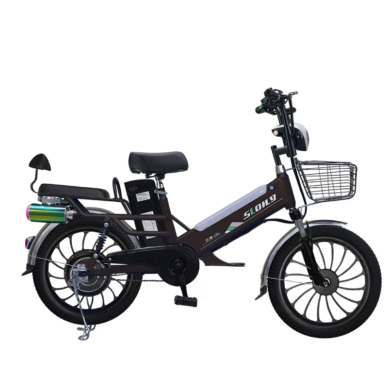 Factory,20 Inch Two Batteries Electric Bike,350W Rider Cargo E-bike,48V Lithium Batteries Bluetooth Speaker Electric Bicycle,OEM