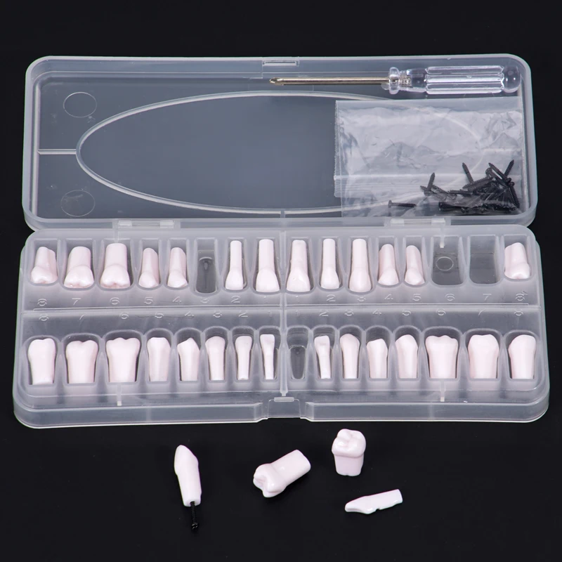 

32pcs Dental Teeth Root Canal Practice Models Set with Screwdriver Full Mouth Endodontics RCT Block Cavity Training Model