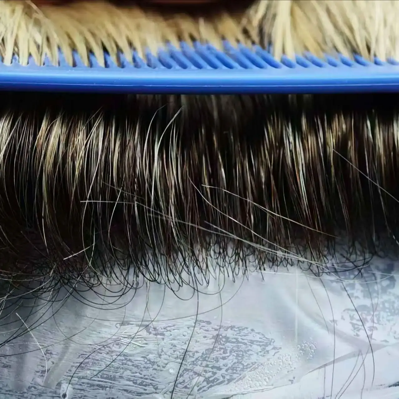 أستراليا 4-613 لون خصلات الشعر المستعار الإنسان الدانتيل قاعدة و بو الشعر المستعار الرجال الشعرية الاصطناعية الدانتيل الفرنسي 100% خصلات الشعر المستعار الإنسان 6 ''شعر مستعار #5