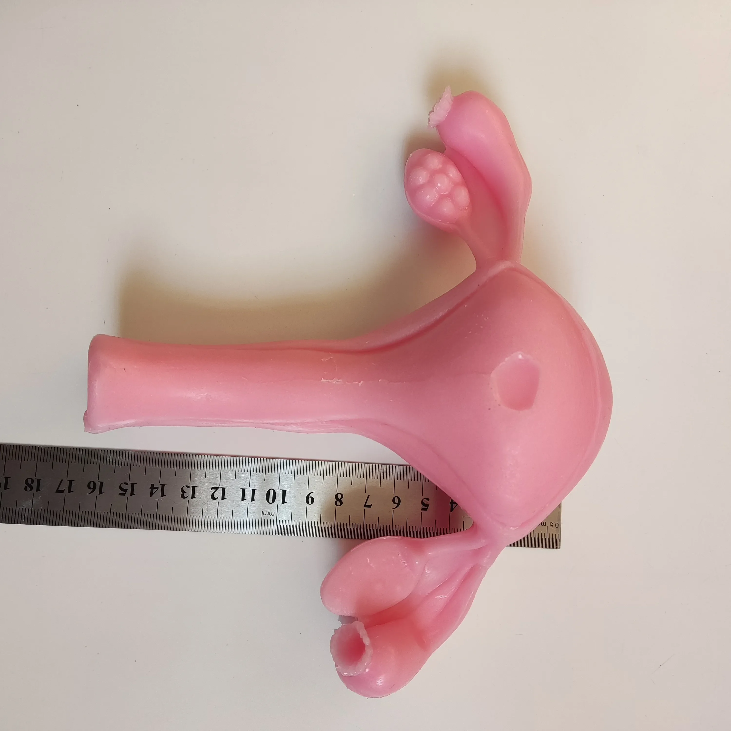 Gynecological Surgery Training Model – 3D Bionic Silicone (Shear, Suture, Peeling)