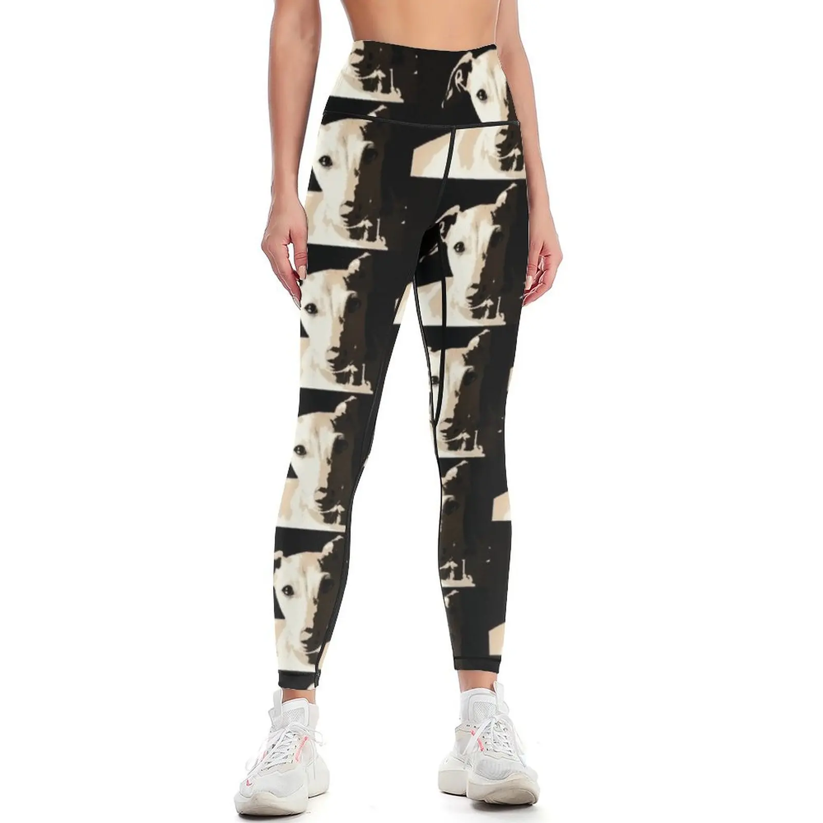 Poster of an Italian Greyhound Portrait Leggings Women's tights Women's fitness Womens Leggings