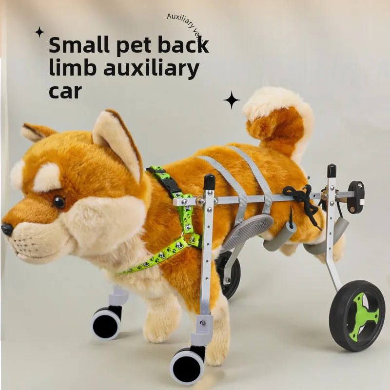 Thumbnail 2 - #39 Ranked Pet Agility Equipment Picks in 2026