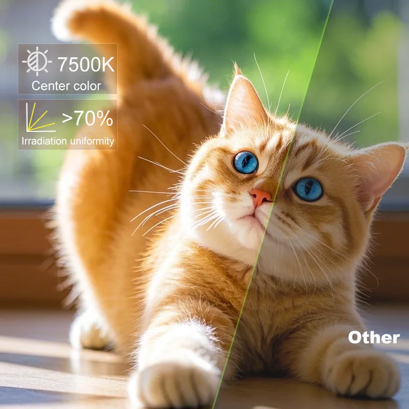 Projector Android 11 5GWiFi Bluetooth 5.0, 720PHD Supported1080P Portable Movie Projector, Compatible with Smartphone/USB, Home