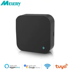 Melery-ventilador de TV con Control remoto, dispositivo inteligente con WiFi, IR, aire acondicionado, temporizador por voz de Google Alexa, 2,4 GHZ, electrodomésticos universales repetidos