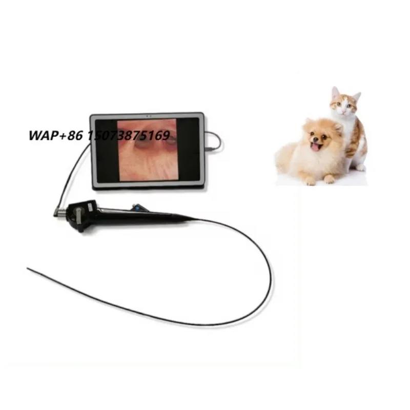 Veterinary multifunctional endoscope for ENT/bronchoscope/small animal endoscope system