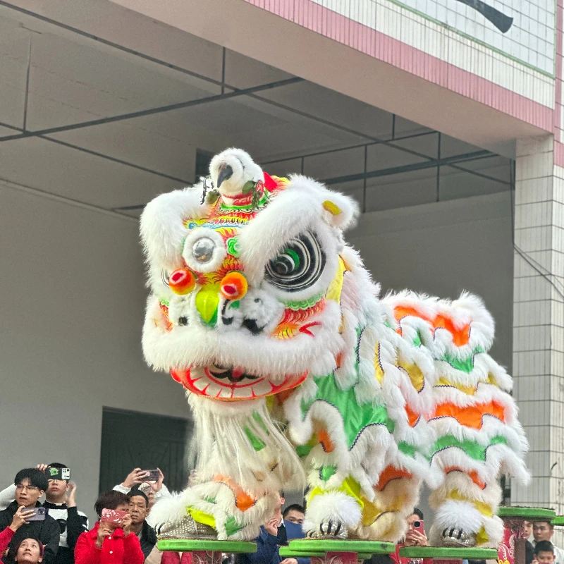 Traditional Chinese Lion Dance Folk Art Stage Performance Fashion No.3 Lion Dance Adult Style