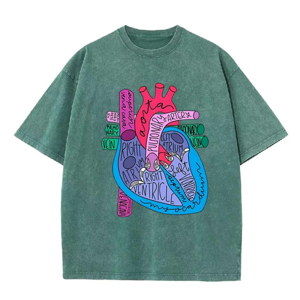 2026 Unisex Vintage Washed Cotton Tee Color Block Anatomy Heart Print Casual Round Neck Short Sleeve Medical Daily Tops