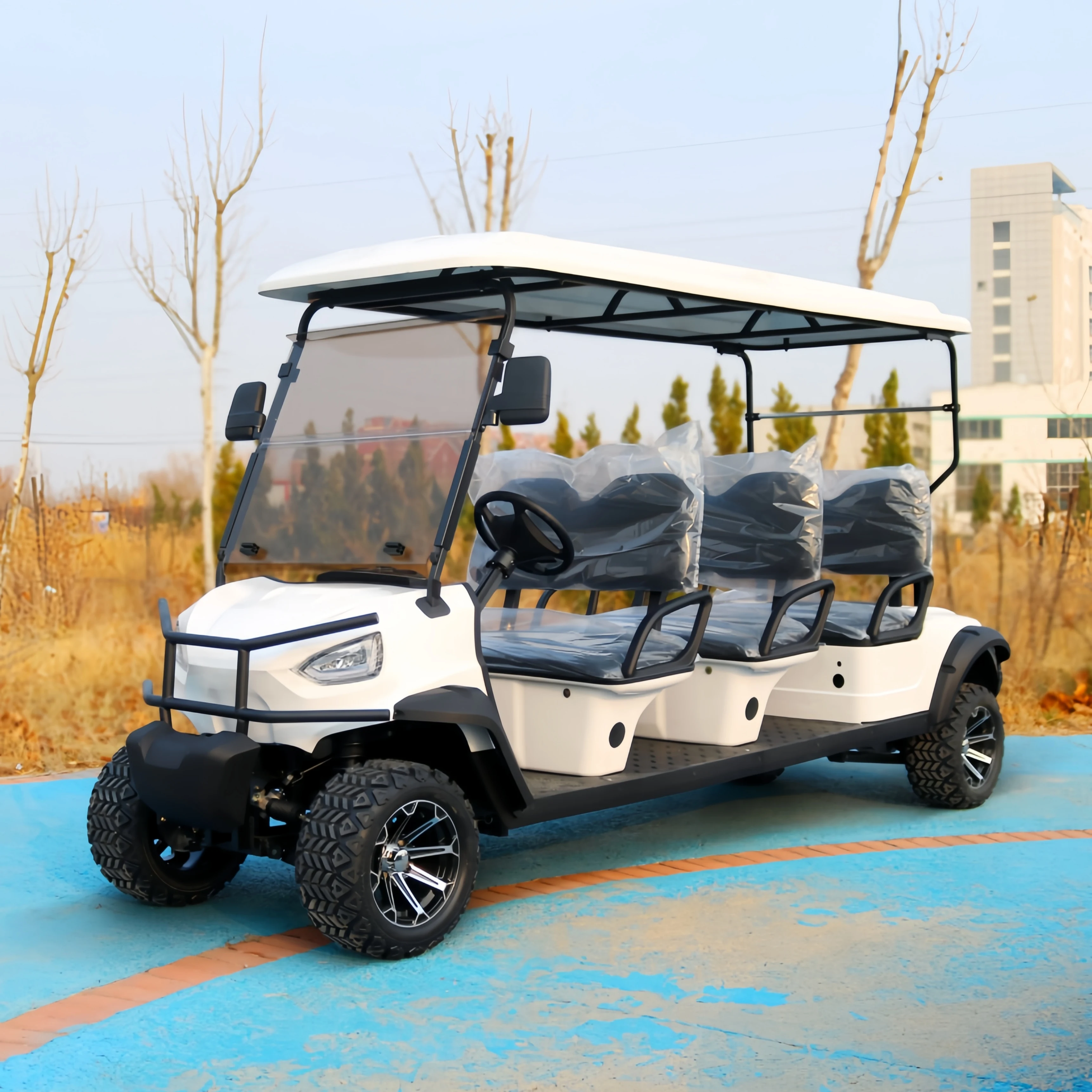 Electric Golf Cart 48V Lithium Baterry Ac Motor Off Road Golf Cart Max travelling range 100km