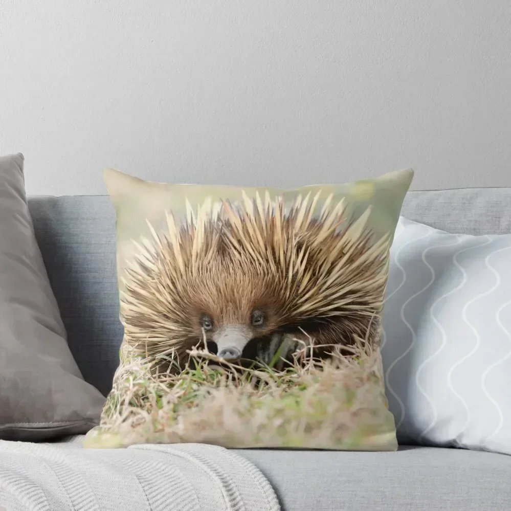 

Spike2 Throw Pillow Cushions Cover Cushions Home Decor Decorative Cushions pillow cover luxury pillow