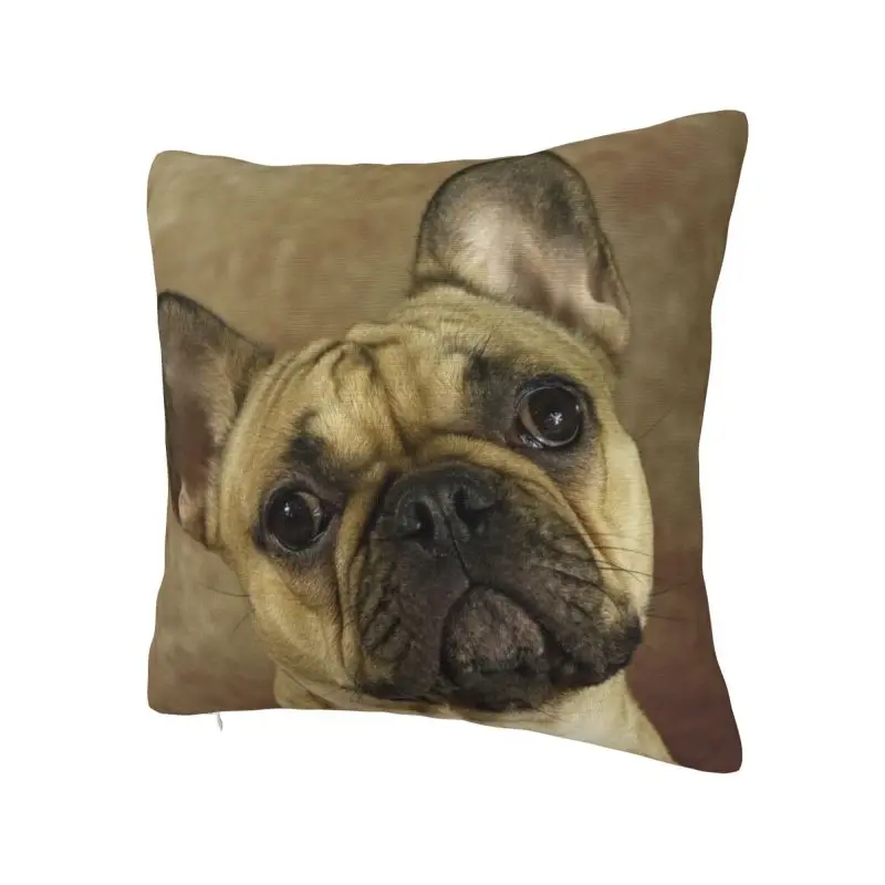 Fawn French Bulldog Face Cushion Cover 40x40cm Velvet Frenchie Dog Lover Pillow Case for Car Square Pillowcase Home Decorative