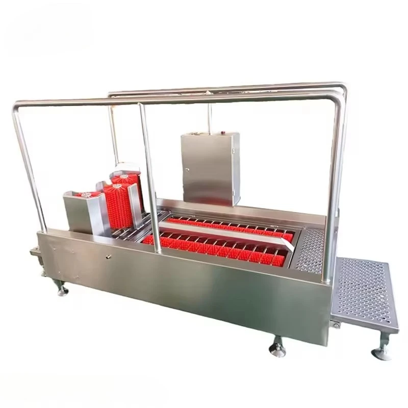 مدخل ورشة العمل الأحذية والأحذية الصناعية غسالة محطة صحية #2