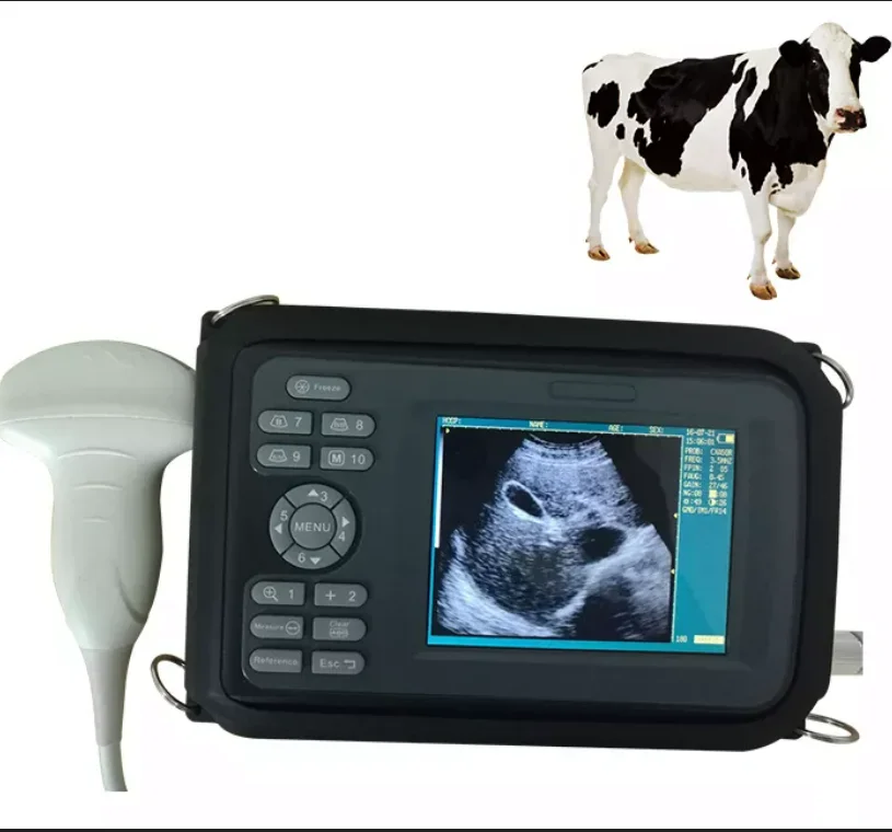 Portable Linear Probe Horse Animal Veterinary Handheld Ultrasound Machine Vet Pets Ultrasound Scanner Handheld Device Digital