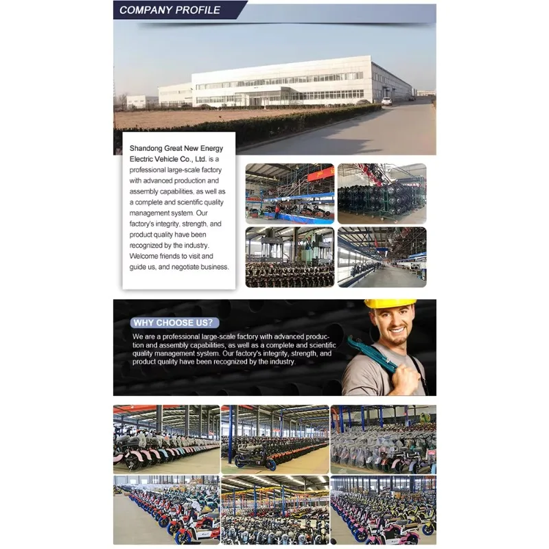 2025 نمط جديد أرخص سكوتر كهربائي عالي السرعة دراجة نارية كهربائية مع دواسات قرص الفرامل #4