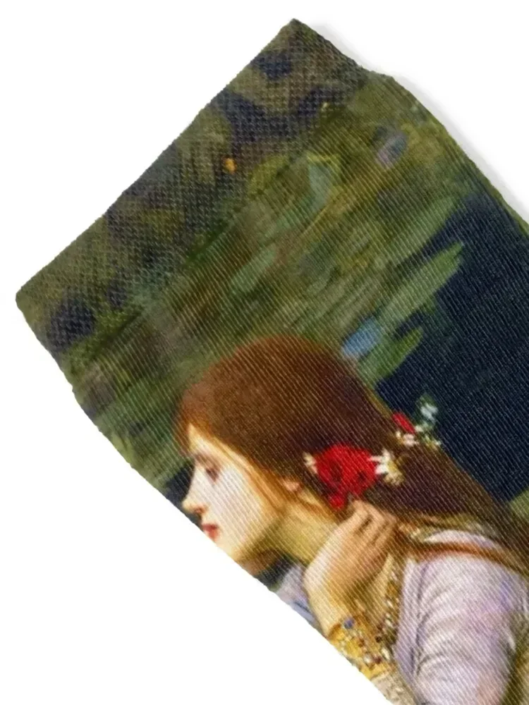 جون ويليام ووترهاوس أوفيليا 1894 الجوارب المهنية تشغيل هدية الكريسماس كرة القدم المضادة للانزلاق مضحك جورب الجوارب السيدات الرجال #2