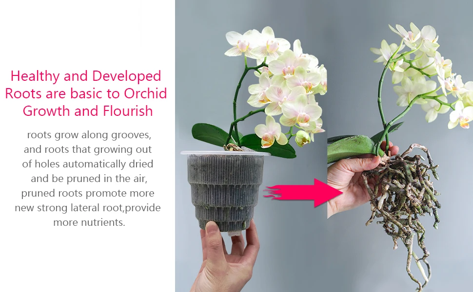 Meshpot 10 cm/12 cm/15 cm durchsichtige Orchideentöpfe aus Kunststoff mit Löchern, Luftschnittfunktion und Wurzelwachstumsfächern, Kunststoff-Blumentopf – Detail 6