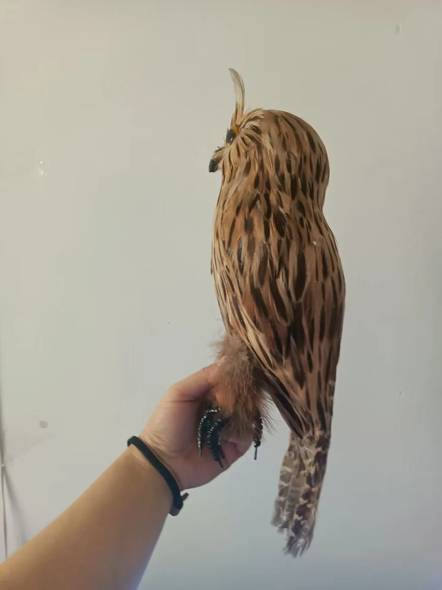 brown simulation owl model foam&feathers owl garden home decoration gift about 33cm xf2999