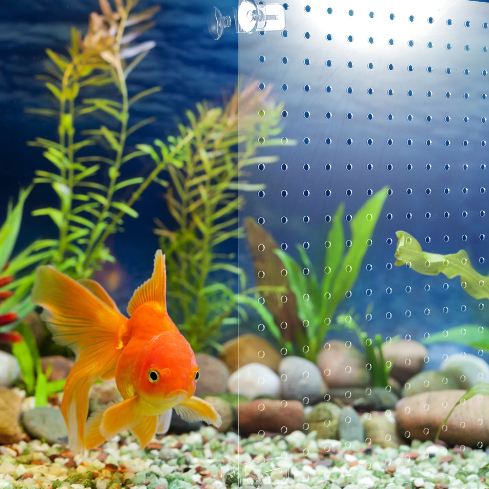 

1Set Acrylic Aquarium Divider Fish Tank Isolation Board Slotted Suction Cup Divider Fish Breeding Separation Board