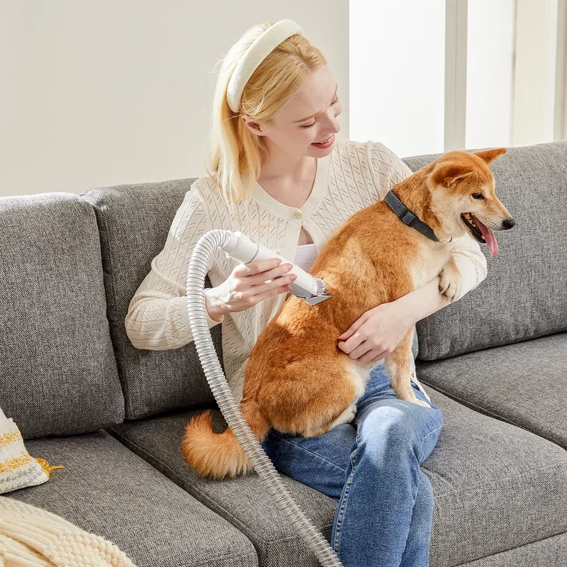 Kit aspirapolvere e toelettatura per la toelettatura del cane con capacità di 2,5 litri più grande aspirapolvere per tazza di polvere per peli di animali domestici