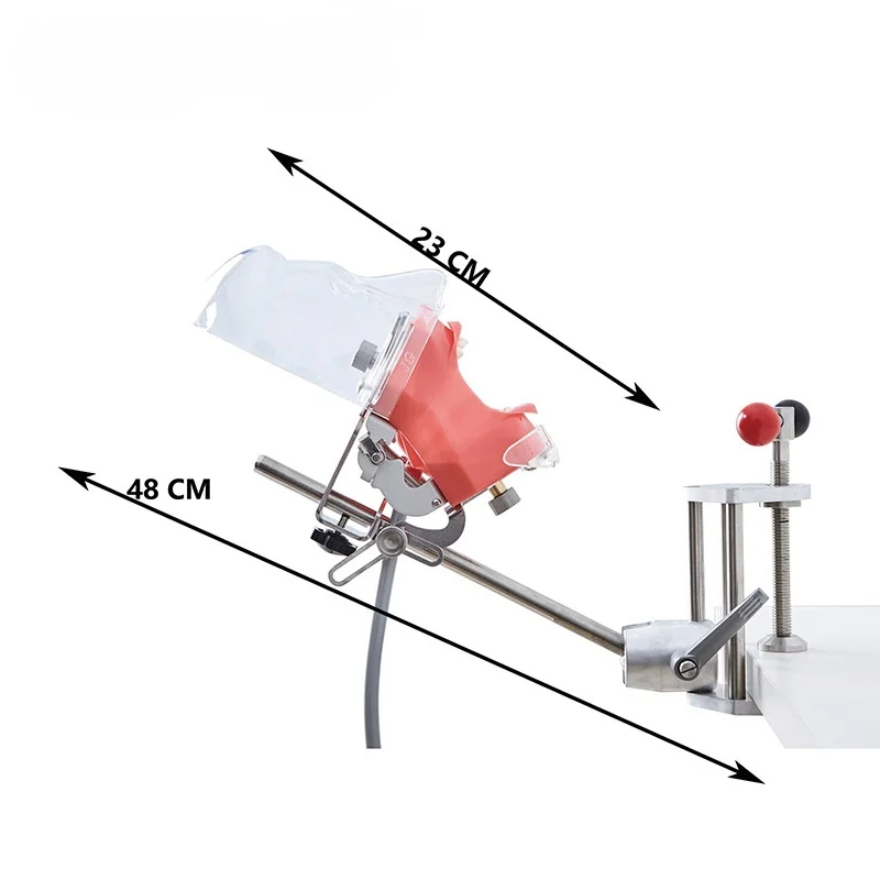Dental Simulation Head Model System Preparation Dentist Training Practice Detachable Dental Oral Model Teaching Simulation
