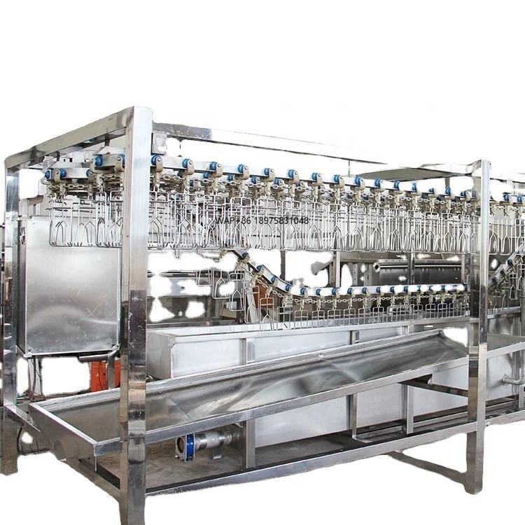 Slaughterhouse Compact Complete Mobile Slaughter / Sale / Poultry Slaughtering Line