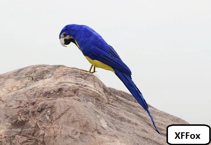 

new real life foam&furs dark blue&yellow parrot bird gift about 45cm d0227