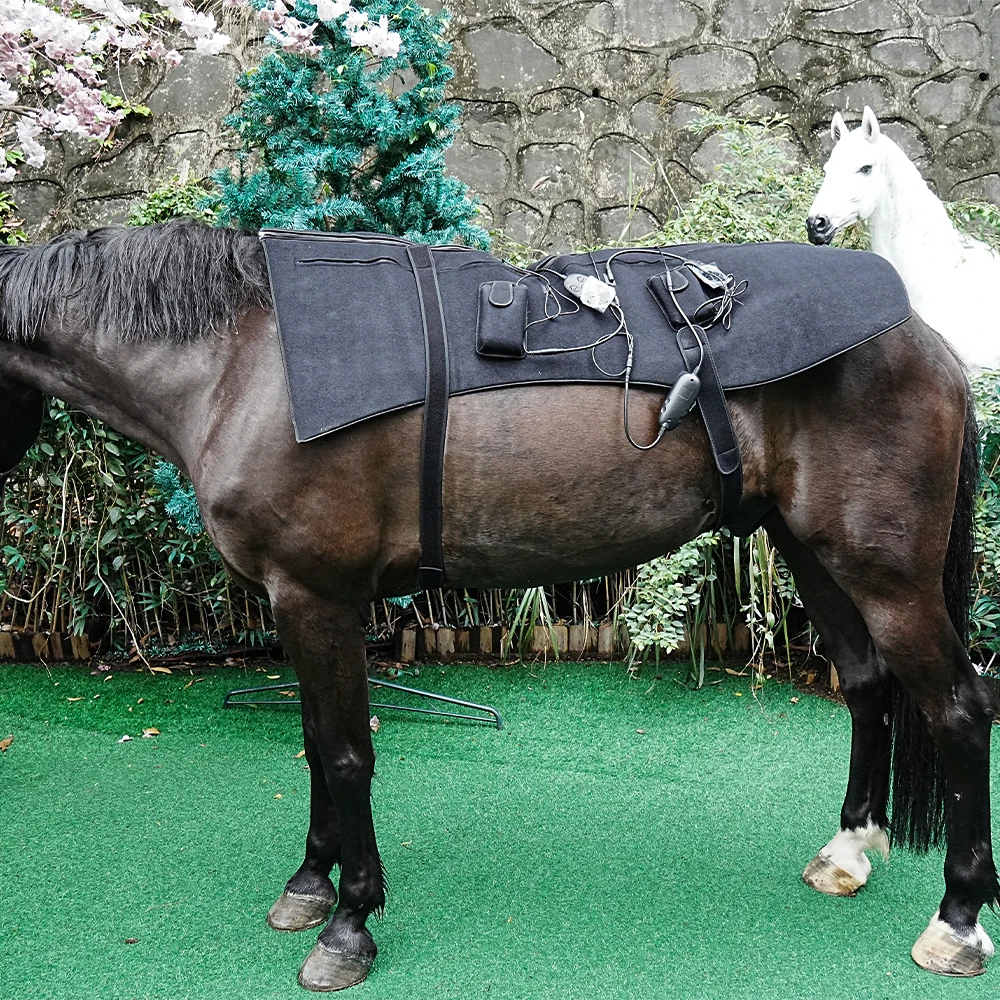 SODOLUX Animal Horse Pet Use Led Therapy Pad 660nm 850nm Red Infrared Belt