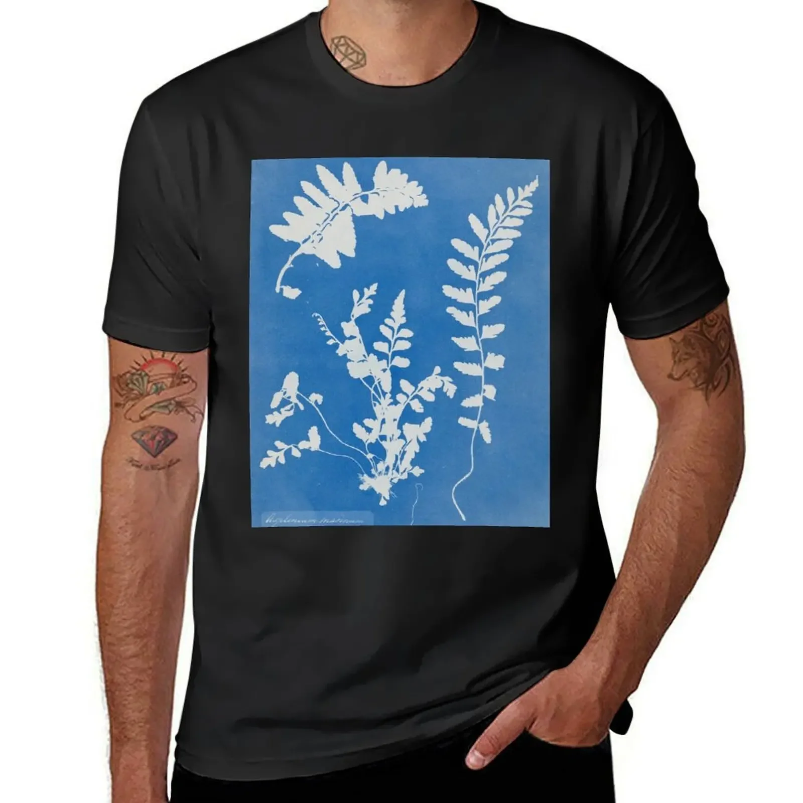 

Anna Atkins Cyanotype Fern, 1854 T-Shirt quick drying vintage kawaii clothes men clothing