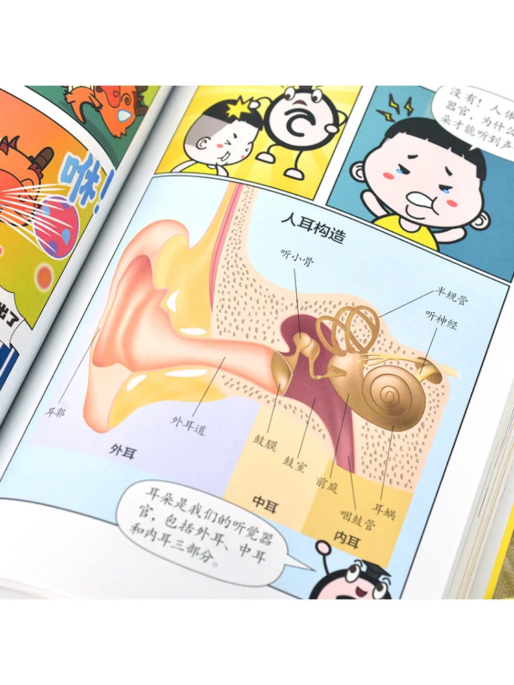 Book-Winshare Comic Science All You Need To Know The Secrets Of the Five Senses