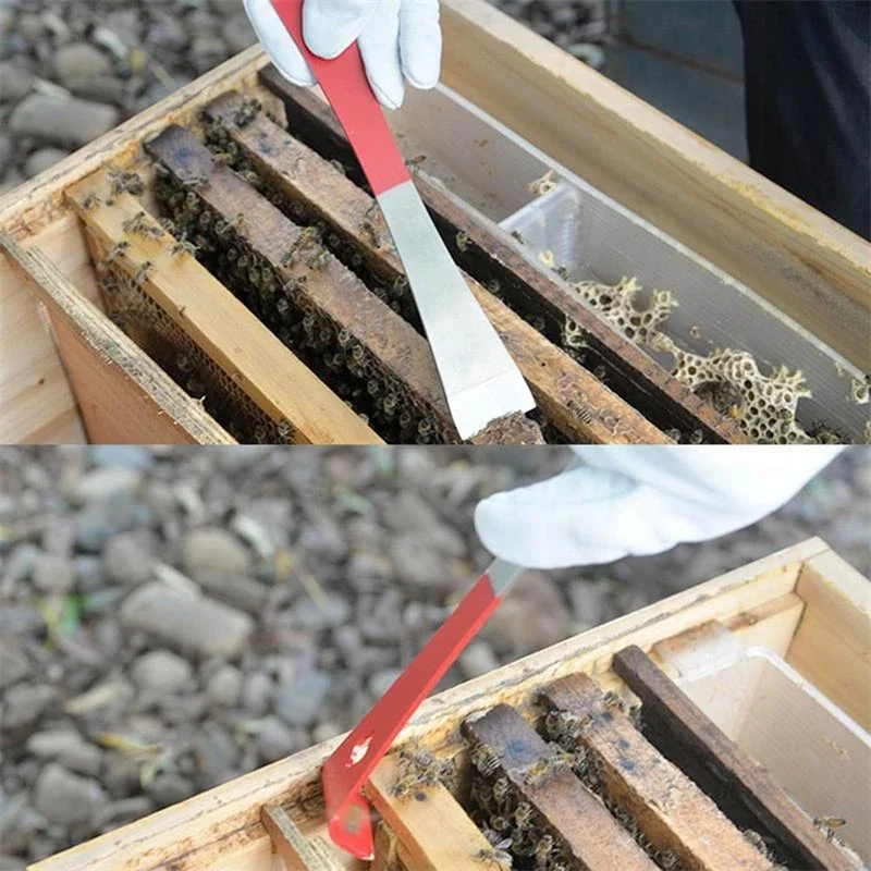 Beekeeping Equipment Cutting Tools Honeycomb Knife Export Utility Separator Multifunctional Bee Tool Stainless Steel Scraper