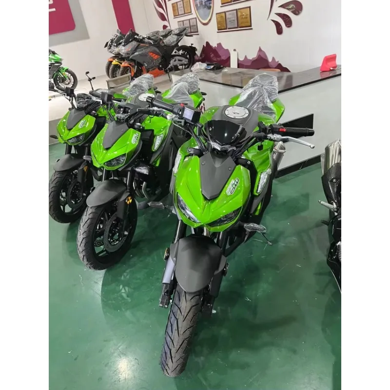 2025 سباق الدراجات النارية الكهربائية على الطرق الوعرة دراجة نارية 3000 واط دراجات نارية كهربائية للبالغين #6