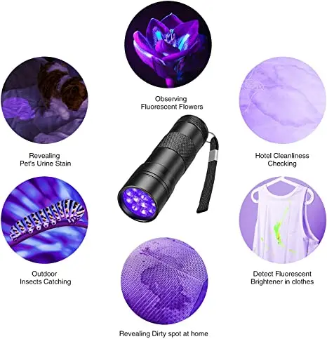 Mini lampe de poche UV Blacklight, lampes de poche, détecteur de torche, chien, animal de compagnie, urine, SAF, punaises de lit et scorpions,