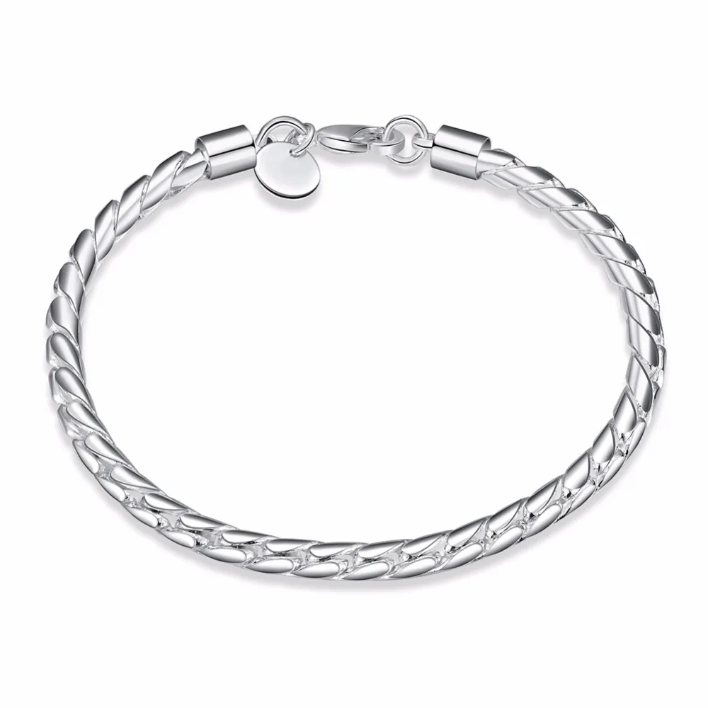 Lekani Men's Fine Jewelry 925 stamp silver color 4mm Twisted Chains 20cm Bracelet Bangle Pulseiras De Prata For Female Gift