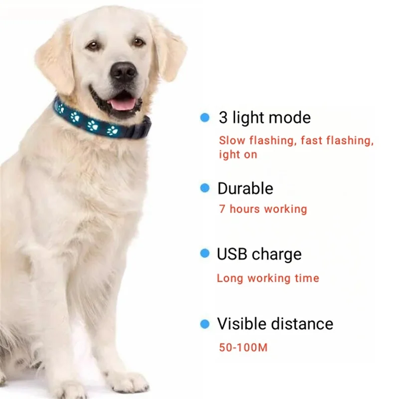 형광 개 목걸이 야간 산책 안전 LED 조명 목걸이, 애완동물 보호 목걸이, 빛나는 Martingale 목걸이 액세서리