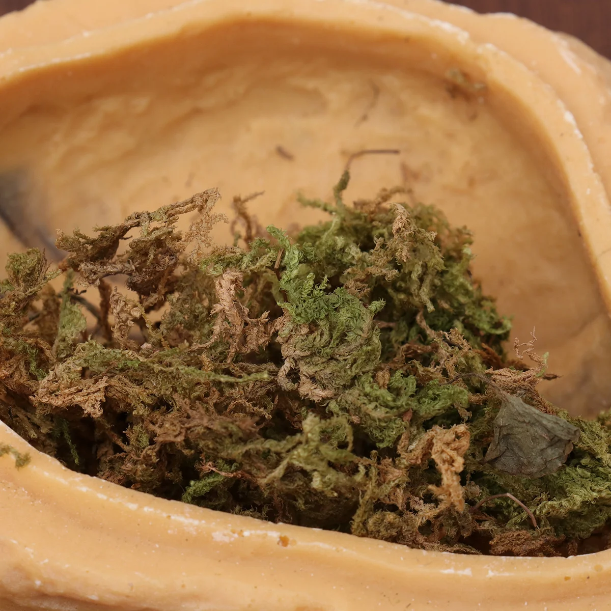 

Crawler Hiding Cave Desert Size Reptile Hideout Reptile Bed Supplies Hermit Crab Spider Lizard