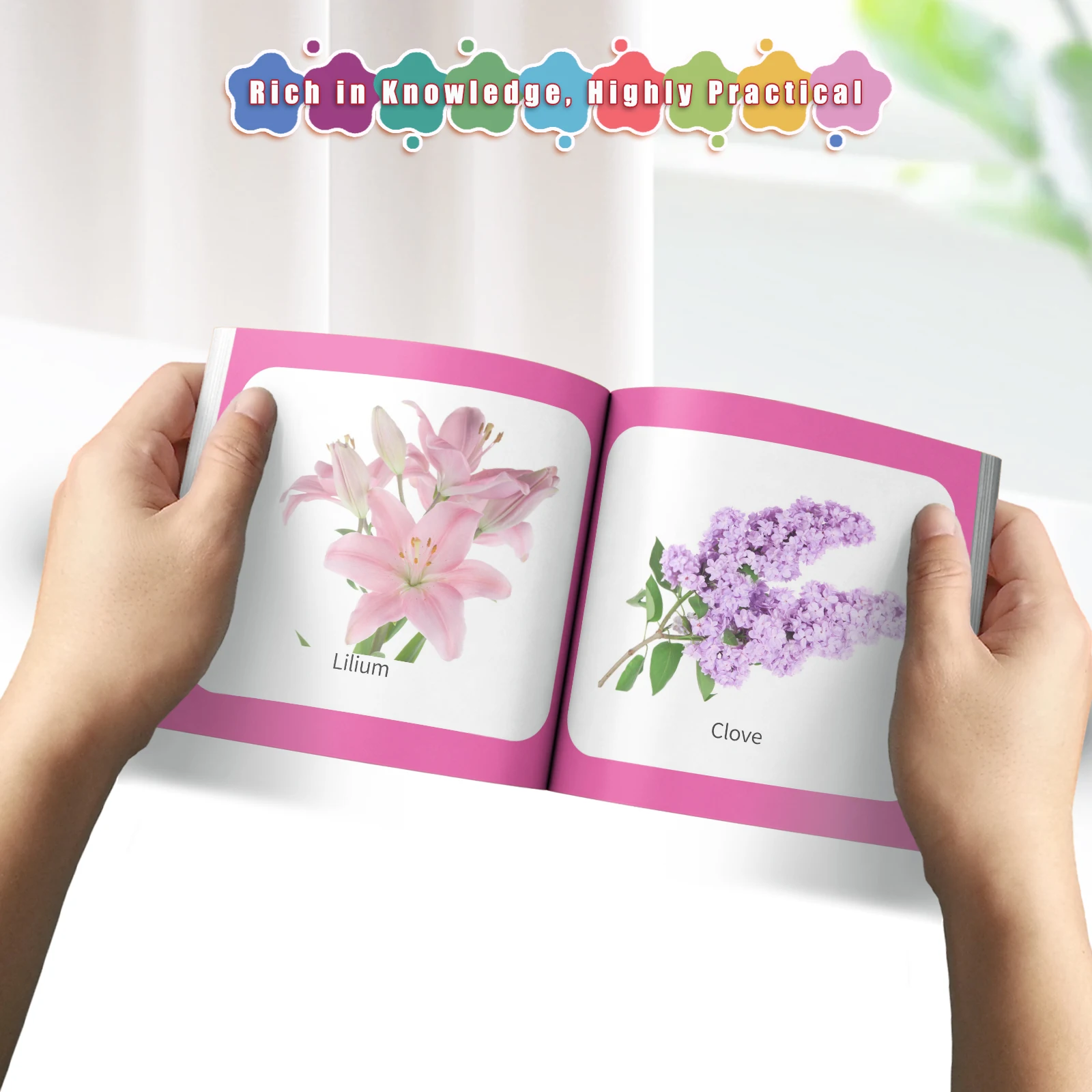 Flower Theme Card Book - Vivid Knowledge Card Book for Early Learning, Visually Stimulating Educational Cards