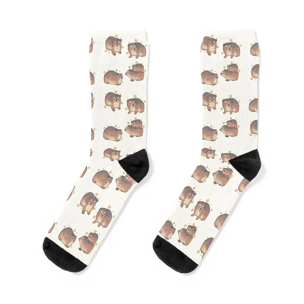 

hyrax pack Socks Christmas designer brand summer Socks Women Men's