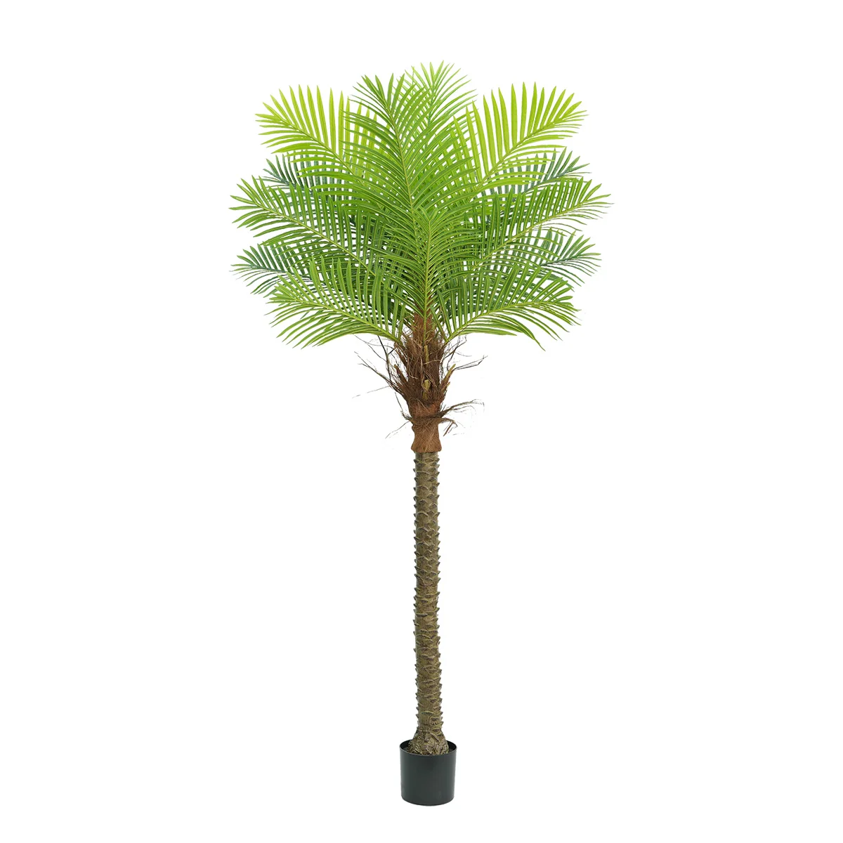 

Имитация зеленого растения, кокосовой пальмы, горшечного растения, гостиной, пальмового дерева, ландшафтного дизайна растений