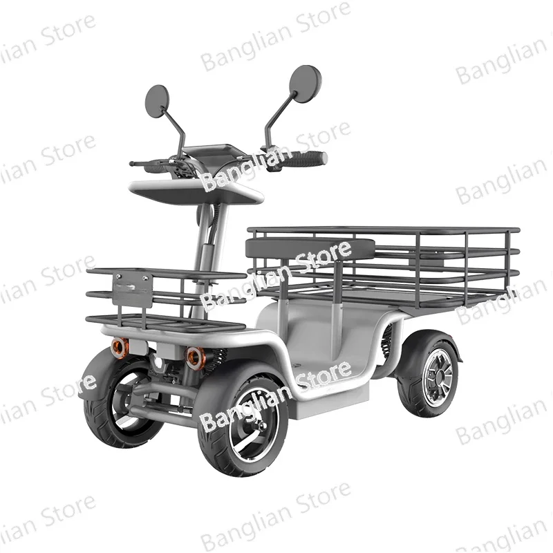 New Dual Motor Cargo  Bike with Large Storage Box 4 Wheels Electric Scooter for Sale