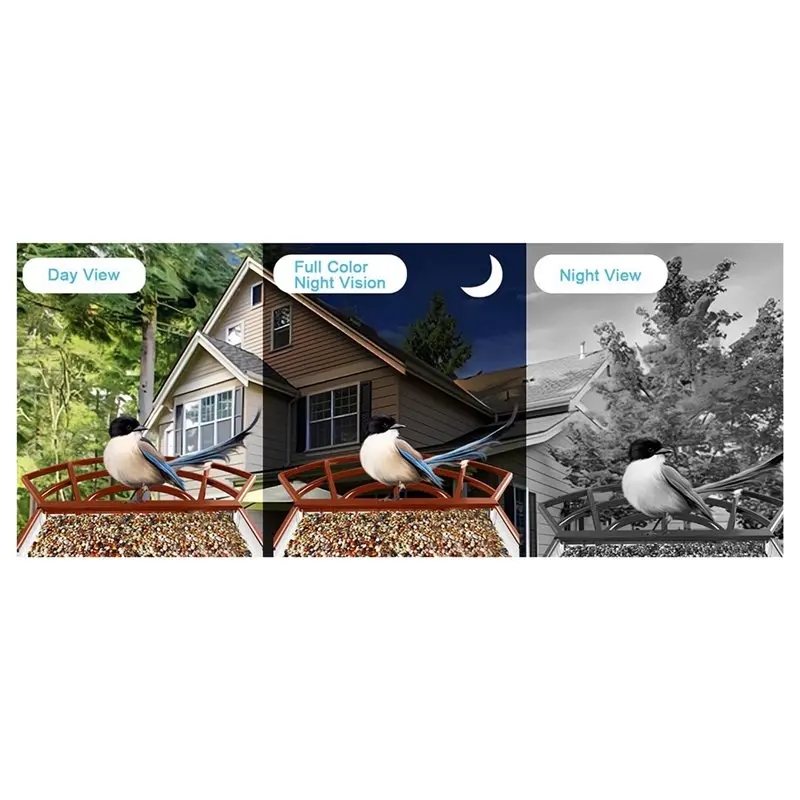 LXYB18B Motion Detection Bird Camera With Solar Panel HD Auto Capture Bird Video Recording Functionality Integrated In Smart Bir