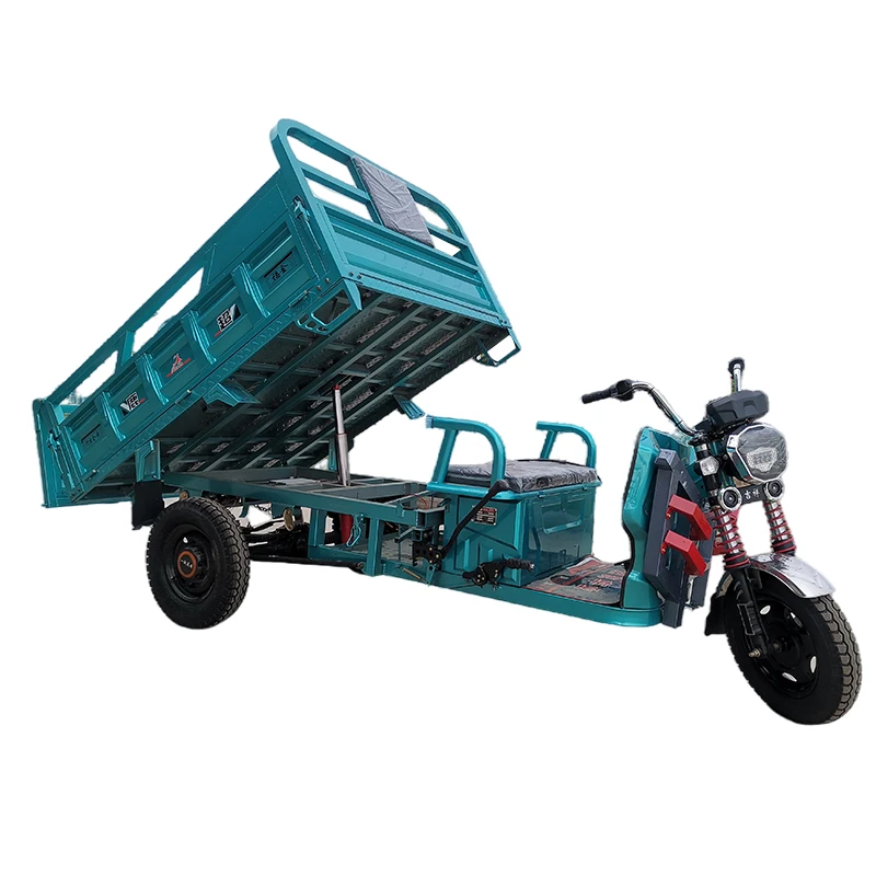 60v 30Ah 1000W Quality Strong Power 3 Wheel Triciclo Electrico Cargo Trike Electric Tricycle For Cargo