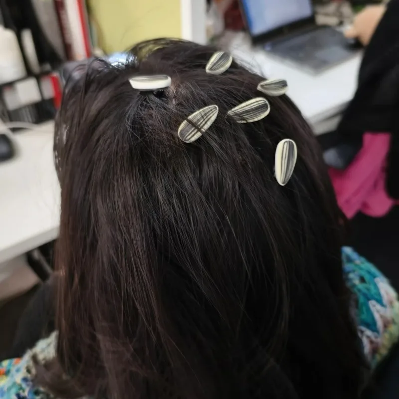 5/100pcs Sunflower Seed Hair Clips Funny Realistic Small Bangs Clip Novelty Hairpin for Women Girls Daily Party Photo Props Gift - view 4