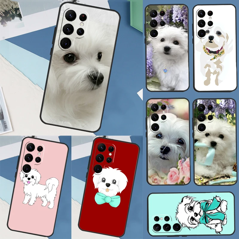 Cartoon Maltese Dog… - image