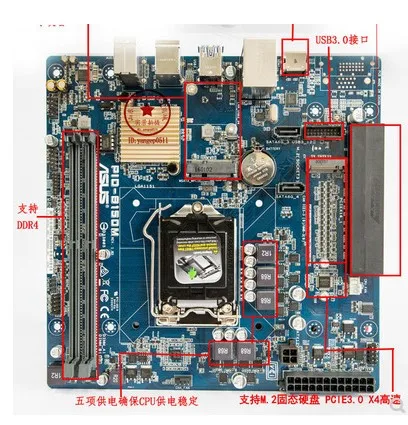 For ASUS PIO-B150M horizontal graphics card, support M.2 and MSATA port DDR4