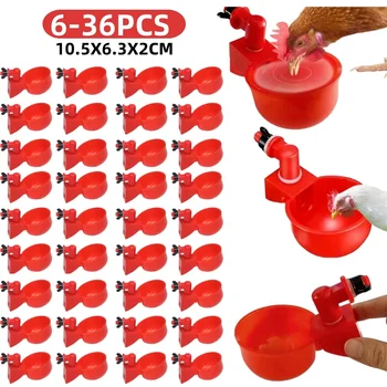 Automatic Poultry Water Cups 1
